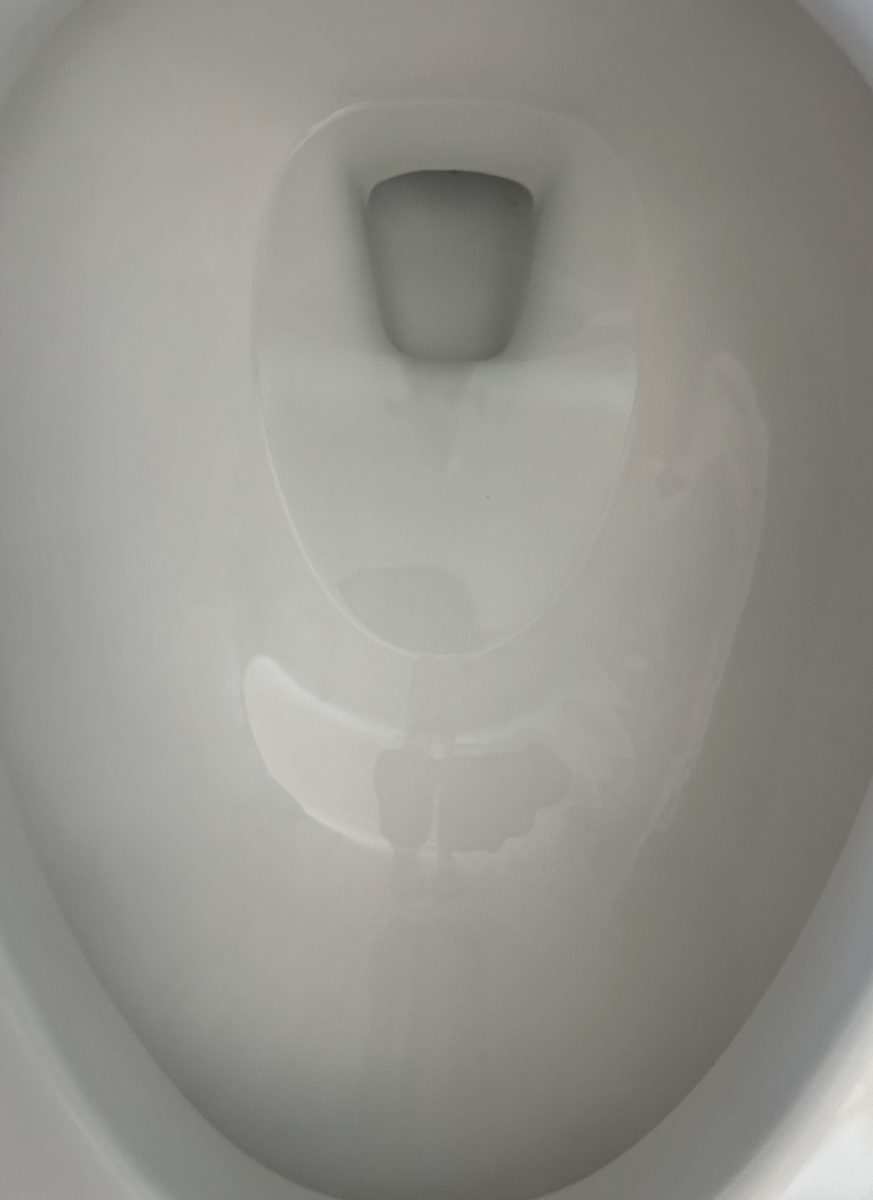 Toilet bowl after cleaning